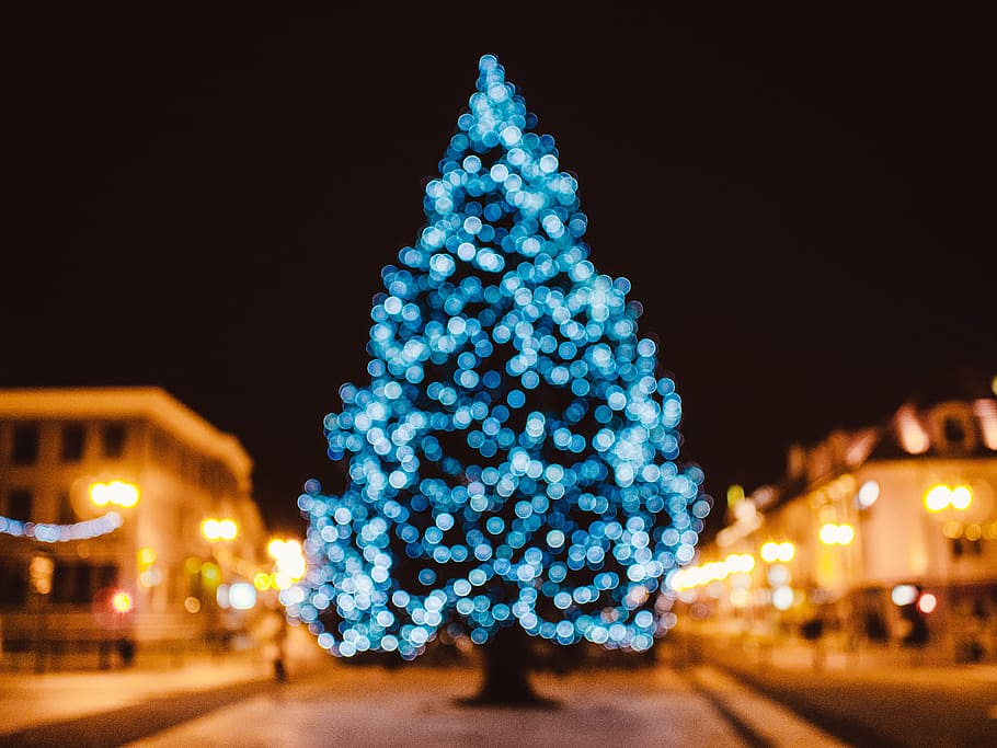 lighted, blue, christmas tree, tree, string, lights, night, time, christmas, decorations