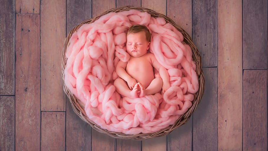 newborn, photography, baby, basket, pink, linen, child, yarn, girl, suckling