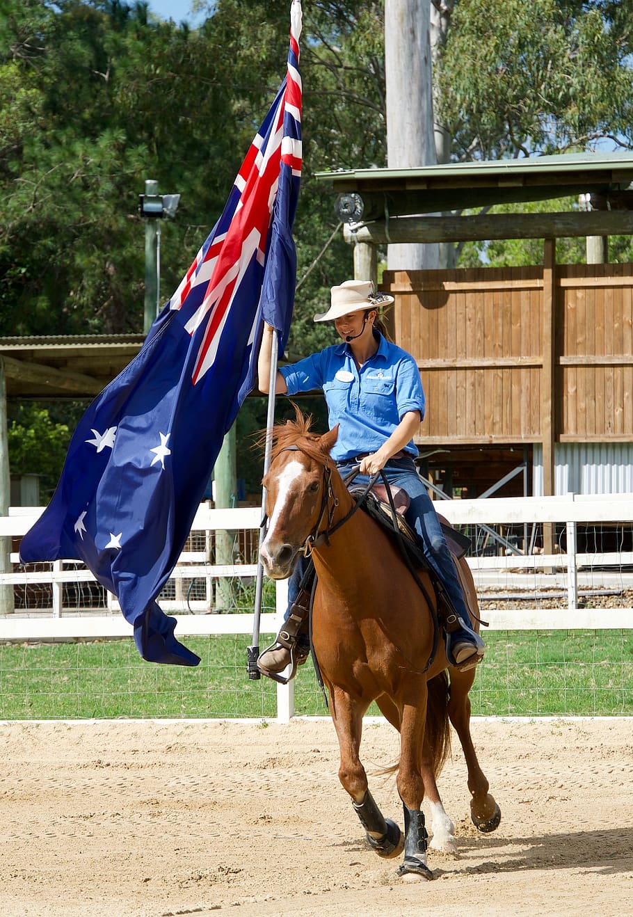 cavalo, bandeira, competição, esporte, austrália, cavaleiro, banner, celebração, desfile, gado