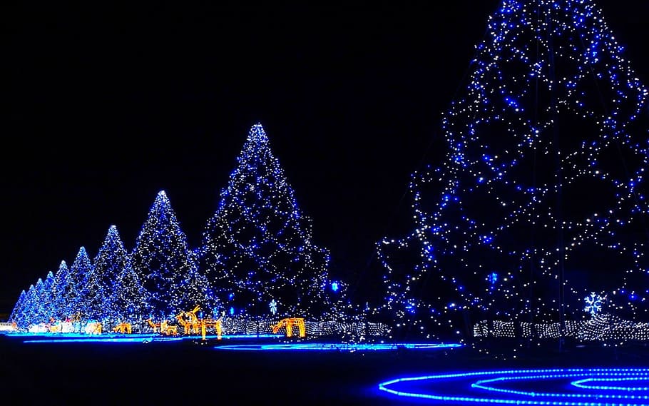 クリスマス, ライト, ブルー, 夜, 照明, クリスマスの装飾, 装飾, お祝い, クリスマスライト, クリスマスツリー