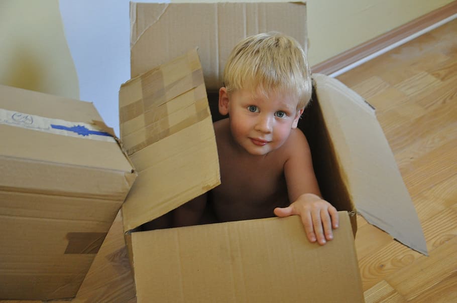 boy inside box, child, boy, game, package, box, kid, gift, moving to, childhood