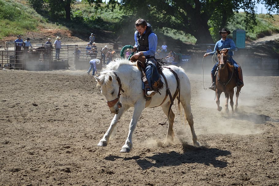 Hombre, equitación, blanco, caballo, frente, otro, marrón, dentro, rancho, talahi