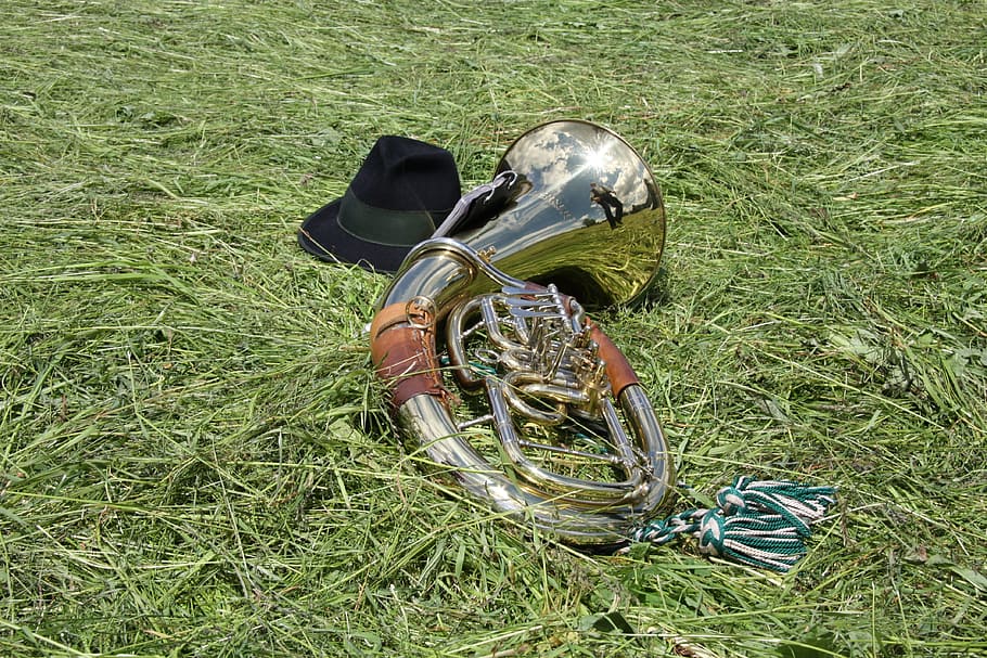 silver, musical, instrument, grass, horn, tuba, music, blowers, gloss, shine