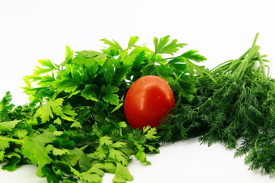 white background, greens, parsley, dill, cilantro, tomatoes, red, plum-shaped, one, three