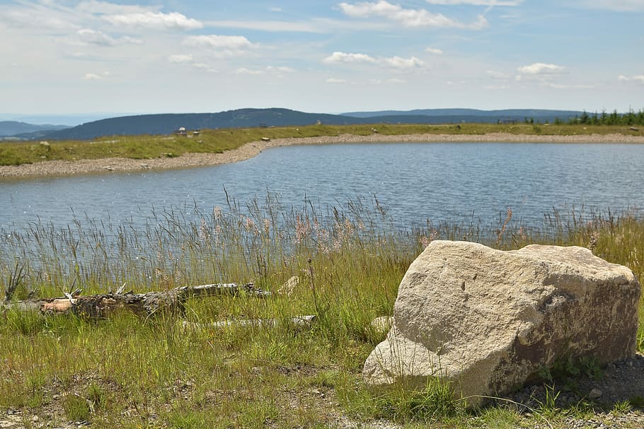 Artificial, Pond, Quiet Zone, Plateau, artificial pond, landscape, mountains, highlands, braunlage, worm mountain