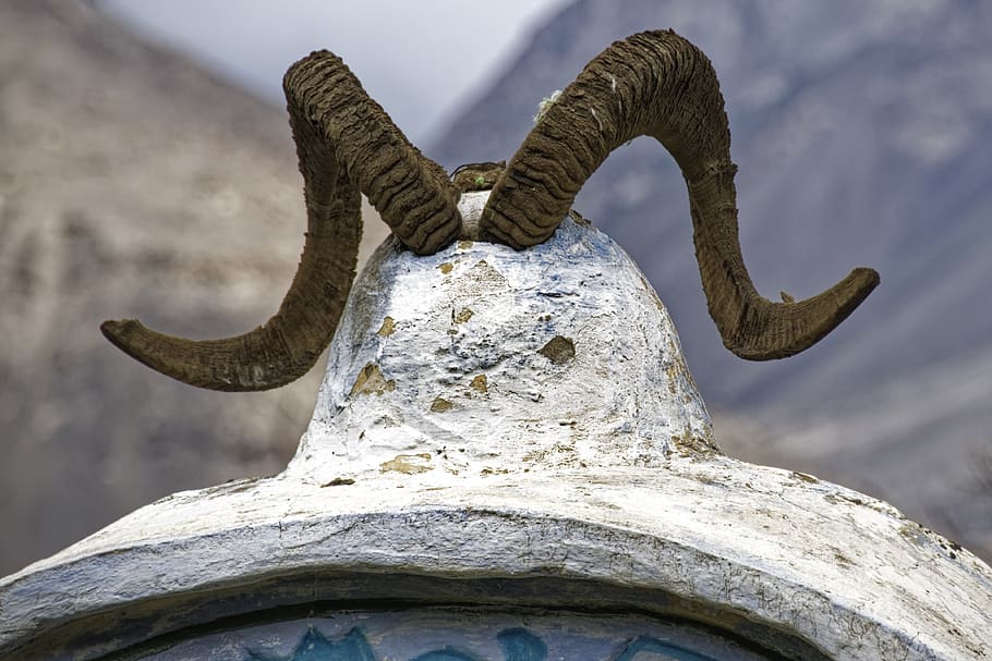 tajikistan, vrang wall, antler, portal, province of mountain-badakhshan, border area, afghanistan, the pamir highway, sculpture, art and craft