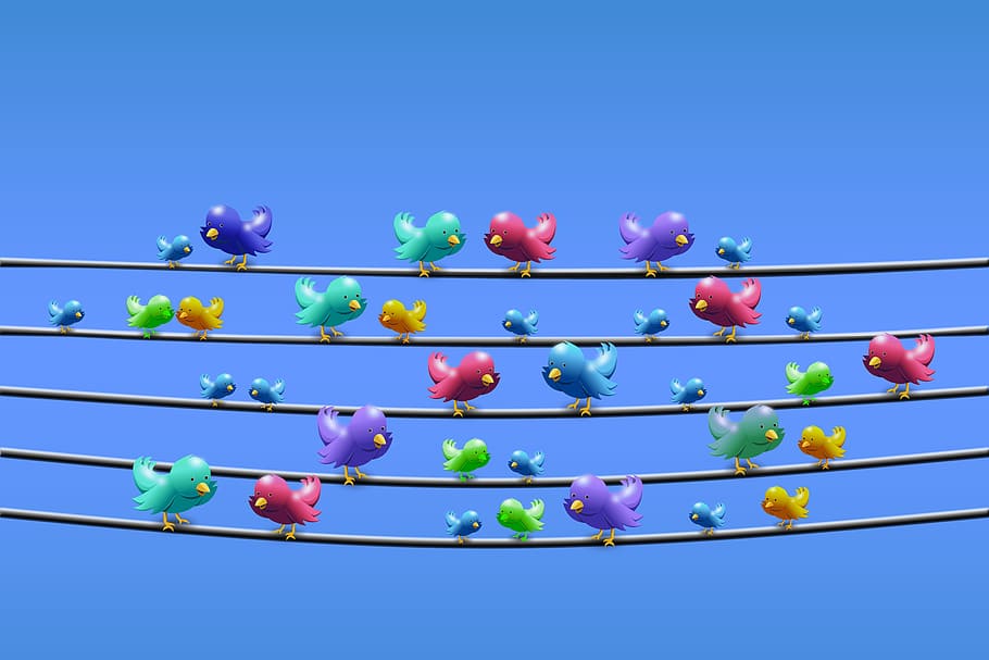 flock, bird, standing, black, wire, graphic, illustration, twitter, line, power line
