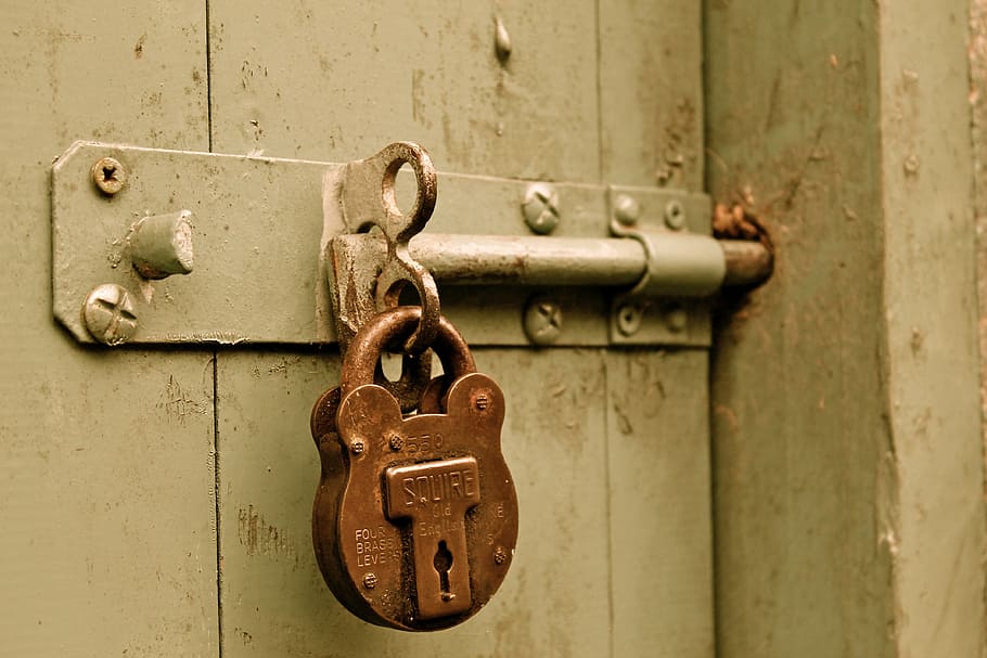 brass padlock, door, bolt, padlock, locked, paint, gate, brass, lock, security