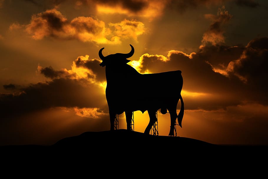 silhouette, bull, dawn, osborne, spain, mallorca, summer, holiday, sunset, animal