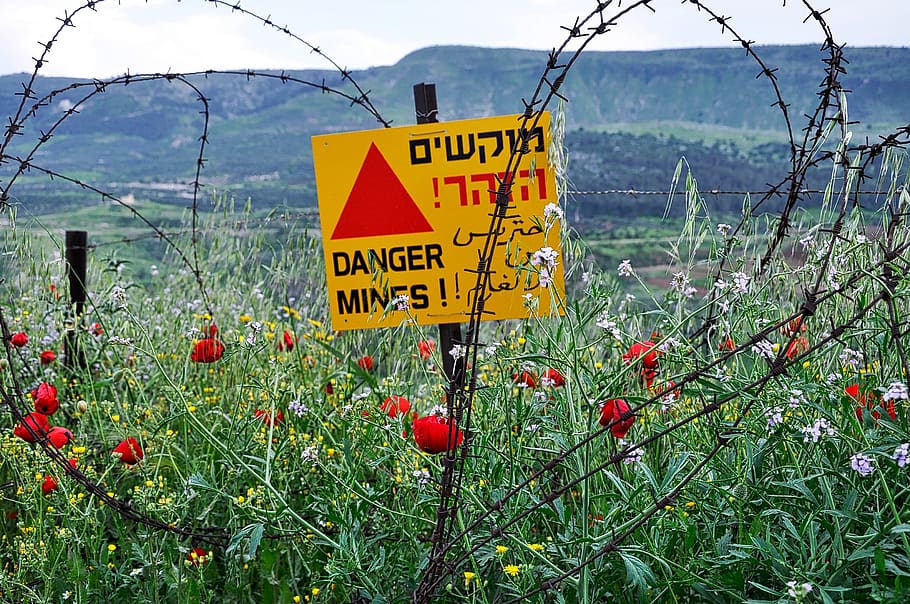 golan heights, israel, border, minefield, warning, sign, barbed wire, poppies, communication, warning sign