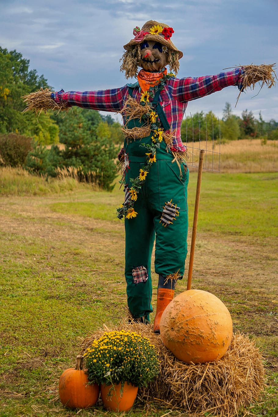 autumn, pumpkin, scarecrow, straw, meadow, colorful, straw bales, stuffed, hat, decoration