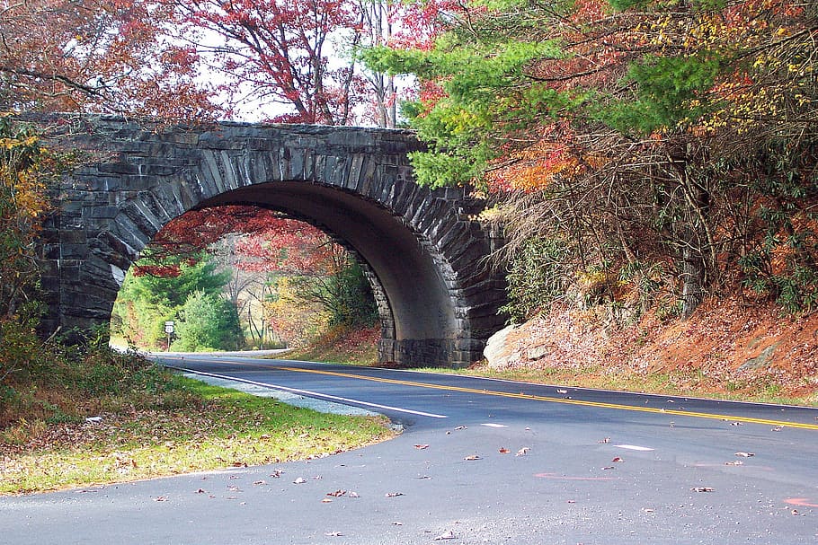 ponte do túnel, cercado, árvores, durante o dia, parkway blue ridge, folhas de outono, outono, parkway, natureza, parque