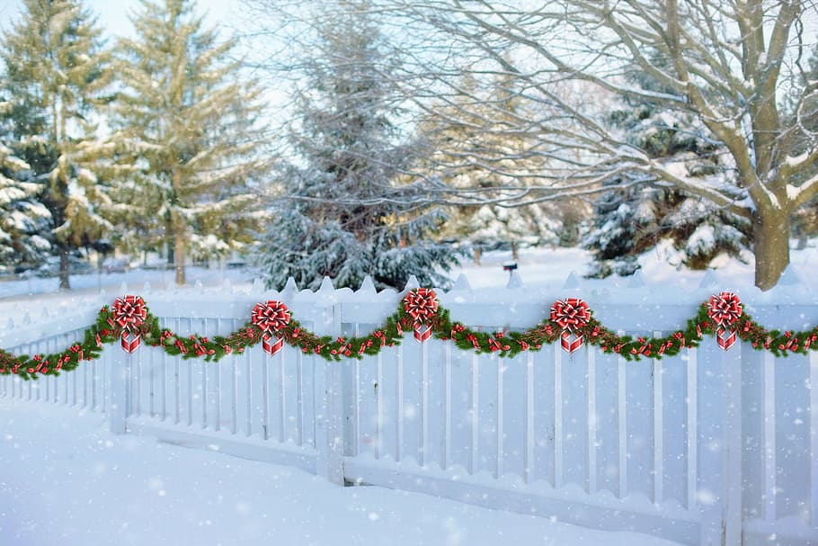 white, wooden, fence, snow, trees, white picket fence, christmas, garland, winter, picket