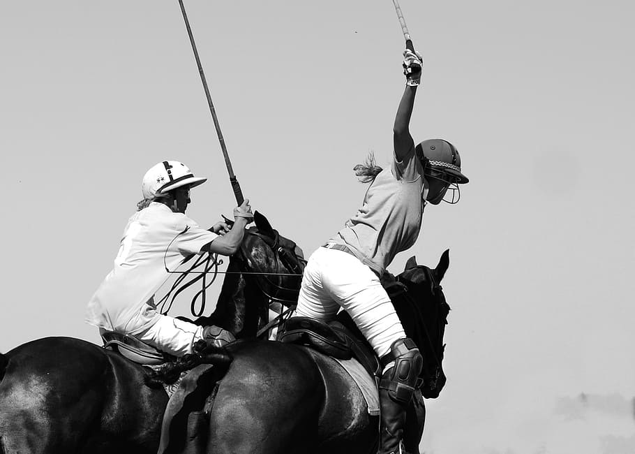 two, women, riding, horses, polo, horse, sport, rider, game, play