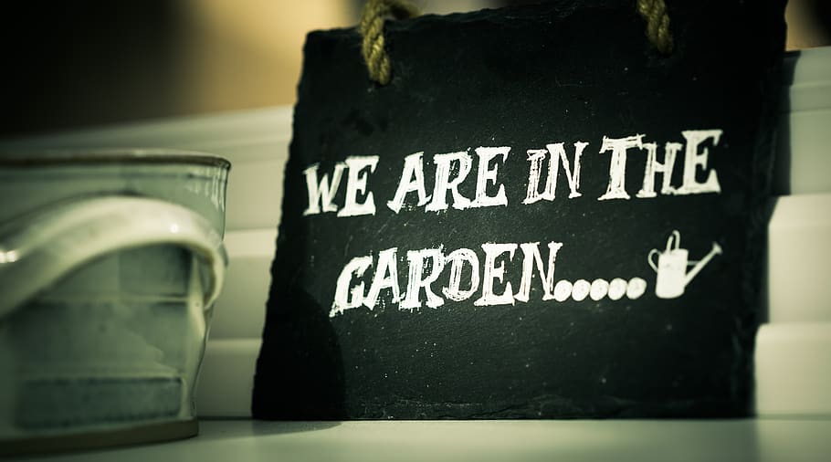 still, quotes, sayings, paper, bag, we are in the garden, calligraphy, typography, text, western script
