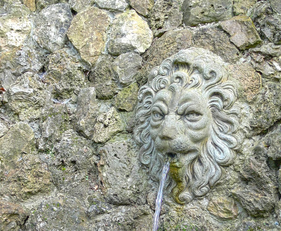 lion head, fountain, source, rock, stone, water, old, close up, gargoyle, lion