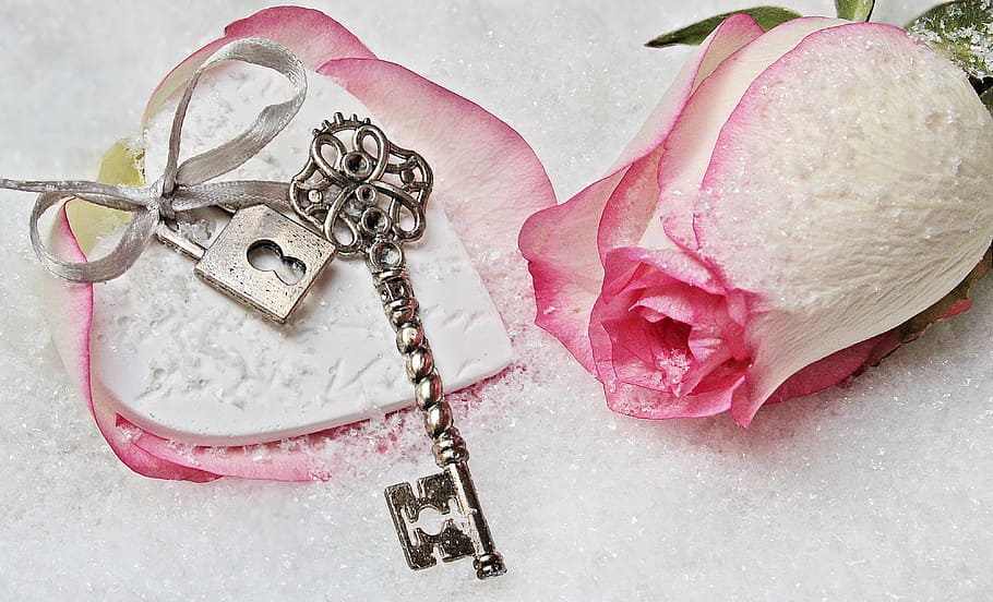 pink, rose, gray, skeleton, key, heart, herzchen, love, romance, symbol