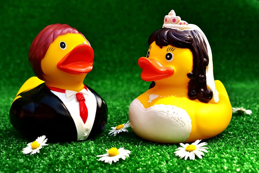 Rubber Ducks, Wedding, Bride, Bride And Groom, wedding, funny, marry, marriage, love, bride, romance
