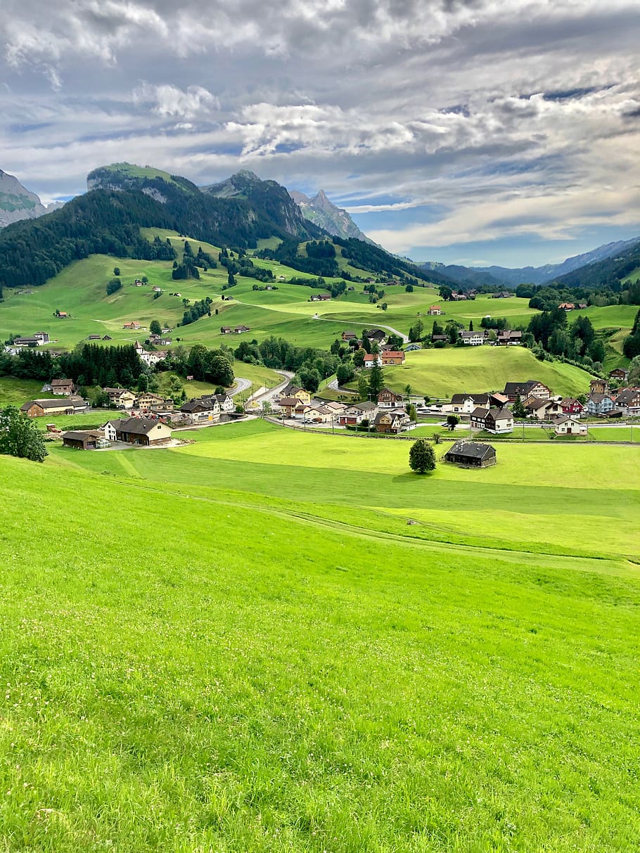 suizo, rancho, naturaleza, alpes, color verde, paisajes - naturaleza, paisaje, planta, medio ambiente, tierra