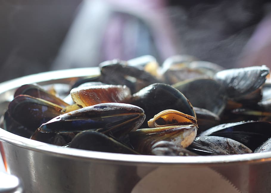 mussels on bowl, mussels, food, eat, shellfish, dinner, fresh, seafood, food and drink, close-up