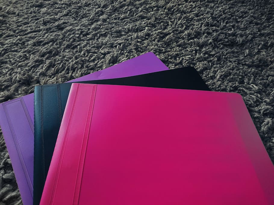 three, assorted-color plastic folders, gray, fleece textile, folders, fast stapler, folder, school, portfolio, school supplies