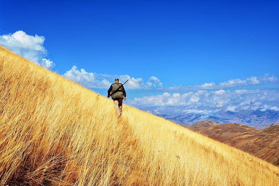 man, walking, brown, grass field, blue, sky, white, clouds, daytime, turkey