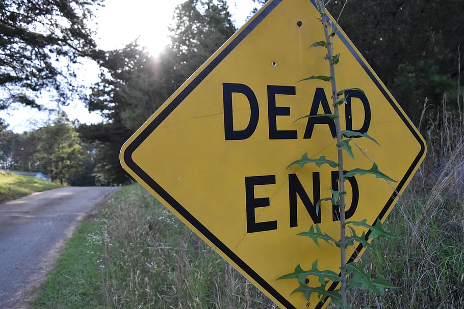 dead end, road, pines, sign, yellow, communication, text, warning sign, western script, plant