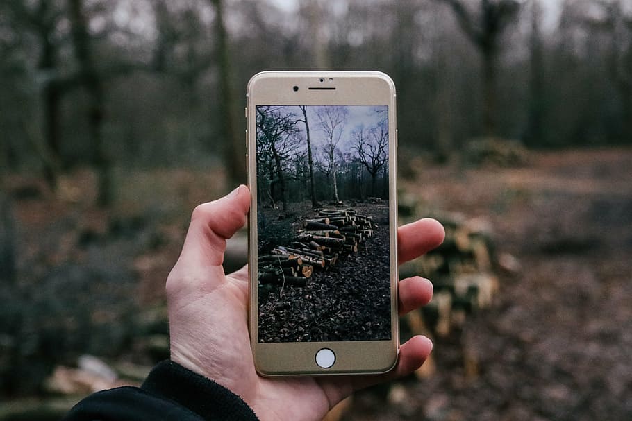 persona, usando, iphone, tomando, pila, foto de firewoods, teléfono, teléfono celular, gente, fotografía