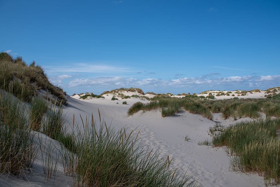 dunes, sand, landscape, summer, nature, travel, terschelling, fryslân, friesland, water