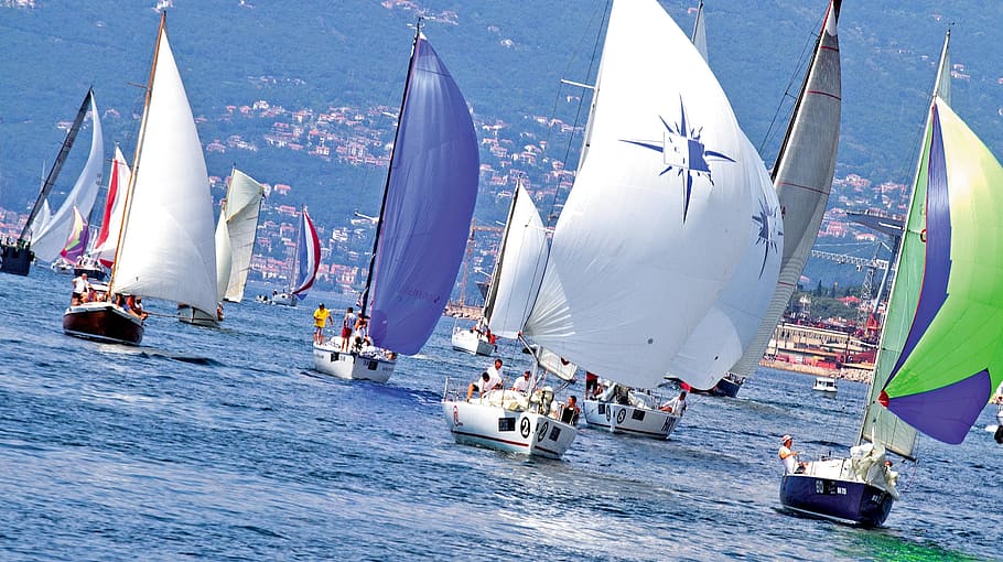 sail, boats, body, water, daytime, regatta, fiumanka, race, sailboat, sailing
