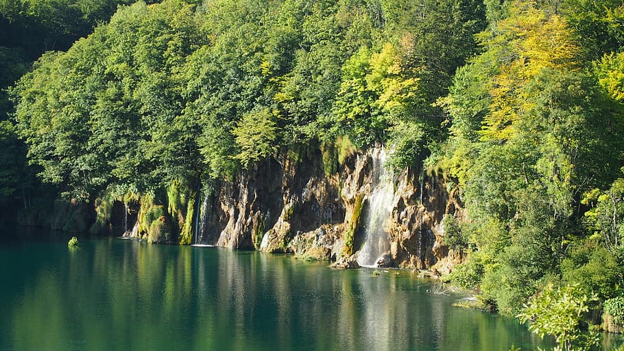 croatia, plitvice lakes, water, waterfall, tree, national park, hike, landscape, plant, beauty in nature