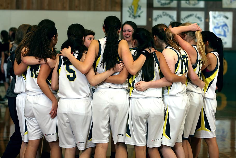 grupo, mulher, interior, quarto, equipe, meninas time de basquete, meninas, basquete, esporte, juntos