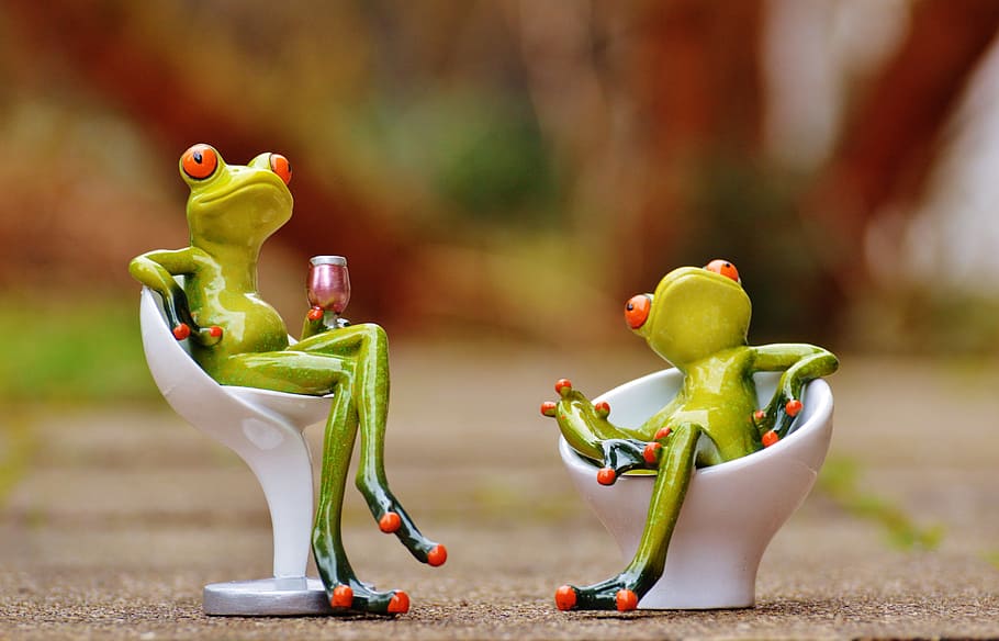 two, frogs, sitting, white, chairs, frog, chair, cozy, for two, drink