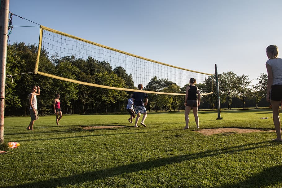 people, plays, volleyball, daytime, sports, sportive, sunny, field, game, play