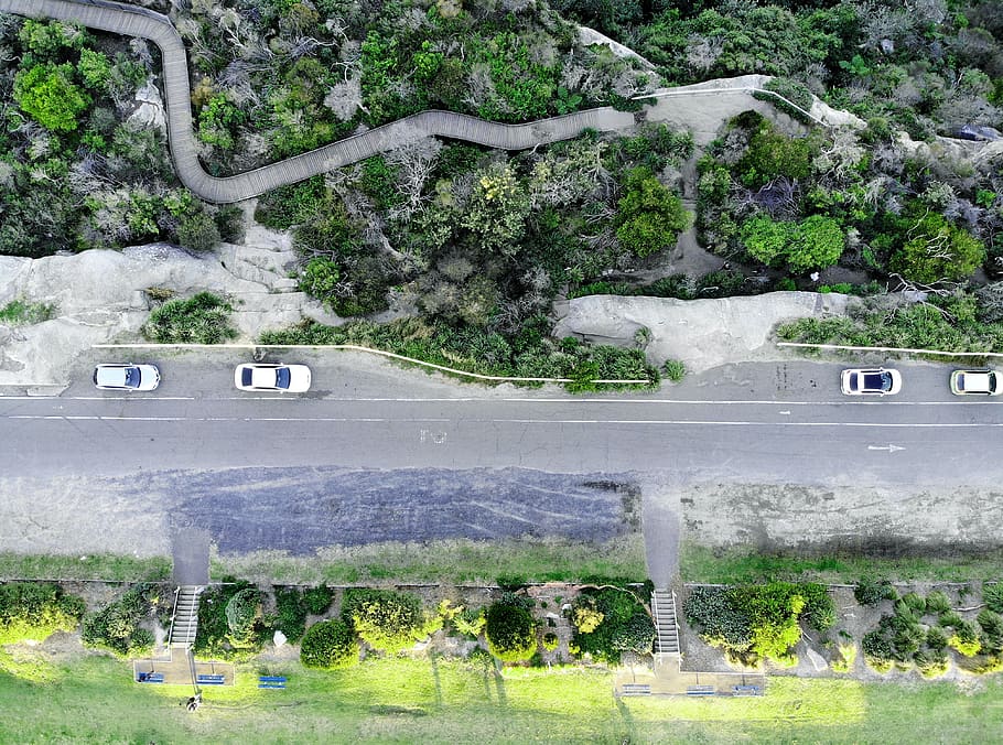 drone, forest, dji, road, tree, aerial, footpath, track, car, plant