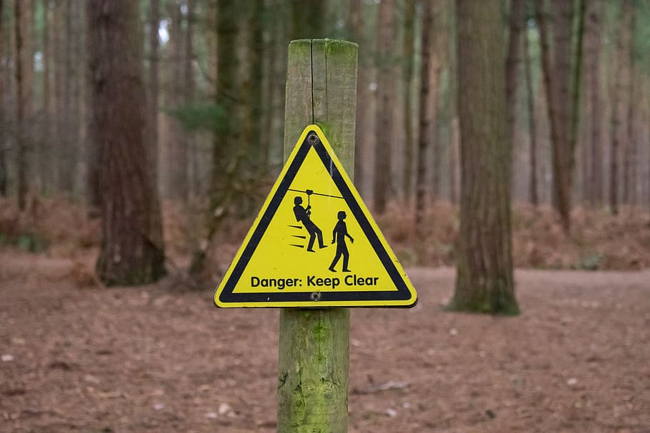 road, wood, warning, danger, nature, guidance, safety, caution, sign, alert