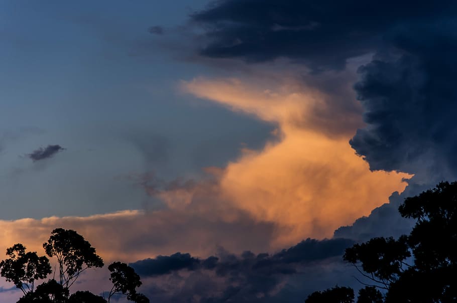 空 雲 夕日 黄金 灰色 オーストラリア シルエット 雲 空 劇的な空 木 Pxfuel