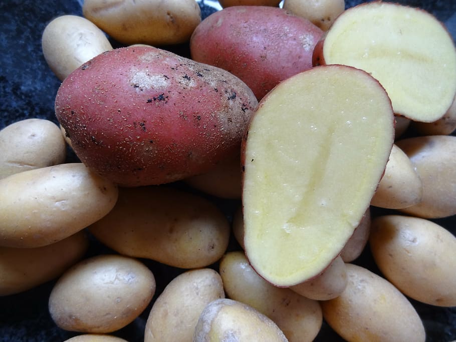 potatoes, food, carbohydrates, vegetables, raw potatoes, red-skinned potatoes, food and drink, freshness, healthy eating, wellbeing