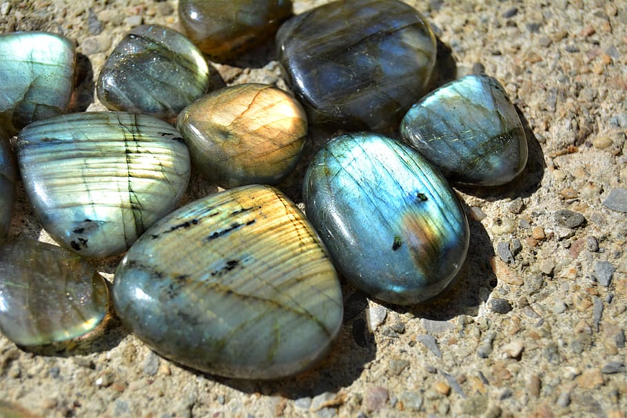 labradorite, stone, polodrahokam, mineral, mattes, color, close-up, day, shell, animal wildlife