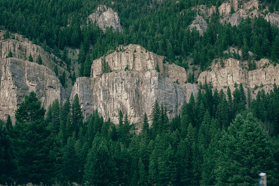 nature, landscape, mountains, cliff, rocks, forests, trees, pine, brown, green