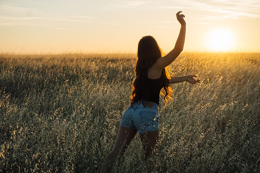 sunset, girl, woman, long hair, people, field, plants, nature, outdoors, adventure