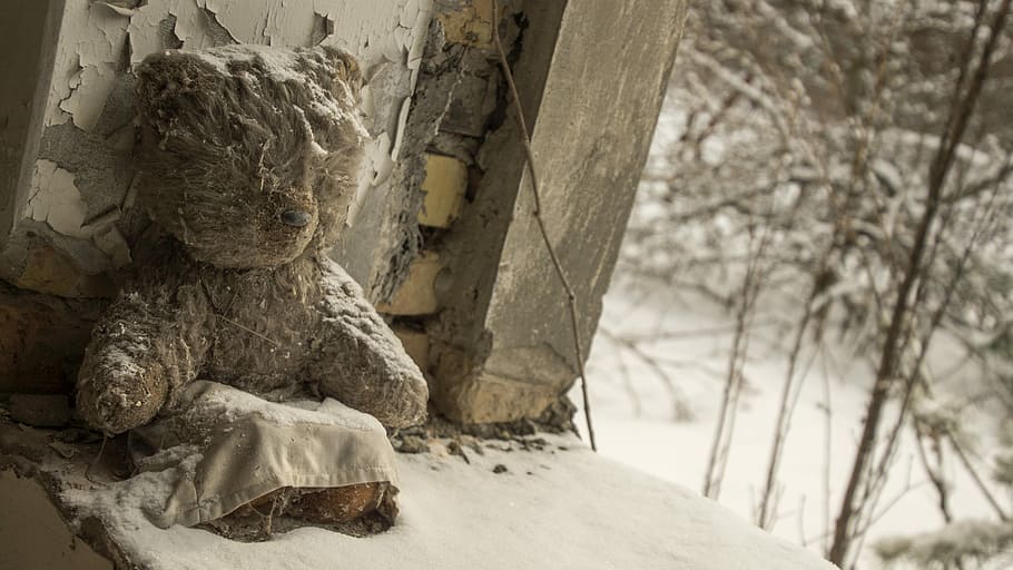 teddy, snow, bear, sitting, fur, toy, childhood, sad, window, abandoned