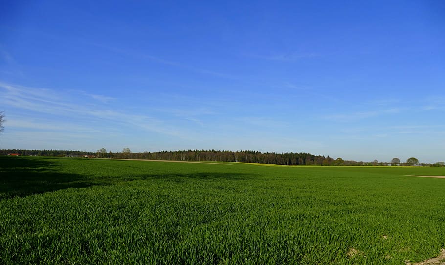 niederrhein, landscape, reported, fields, forest, spring, nature, germany, panorama, sky