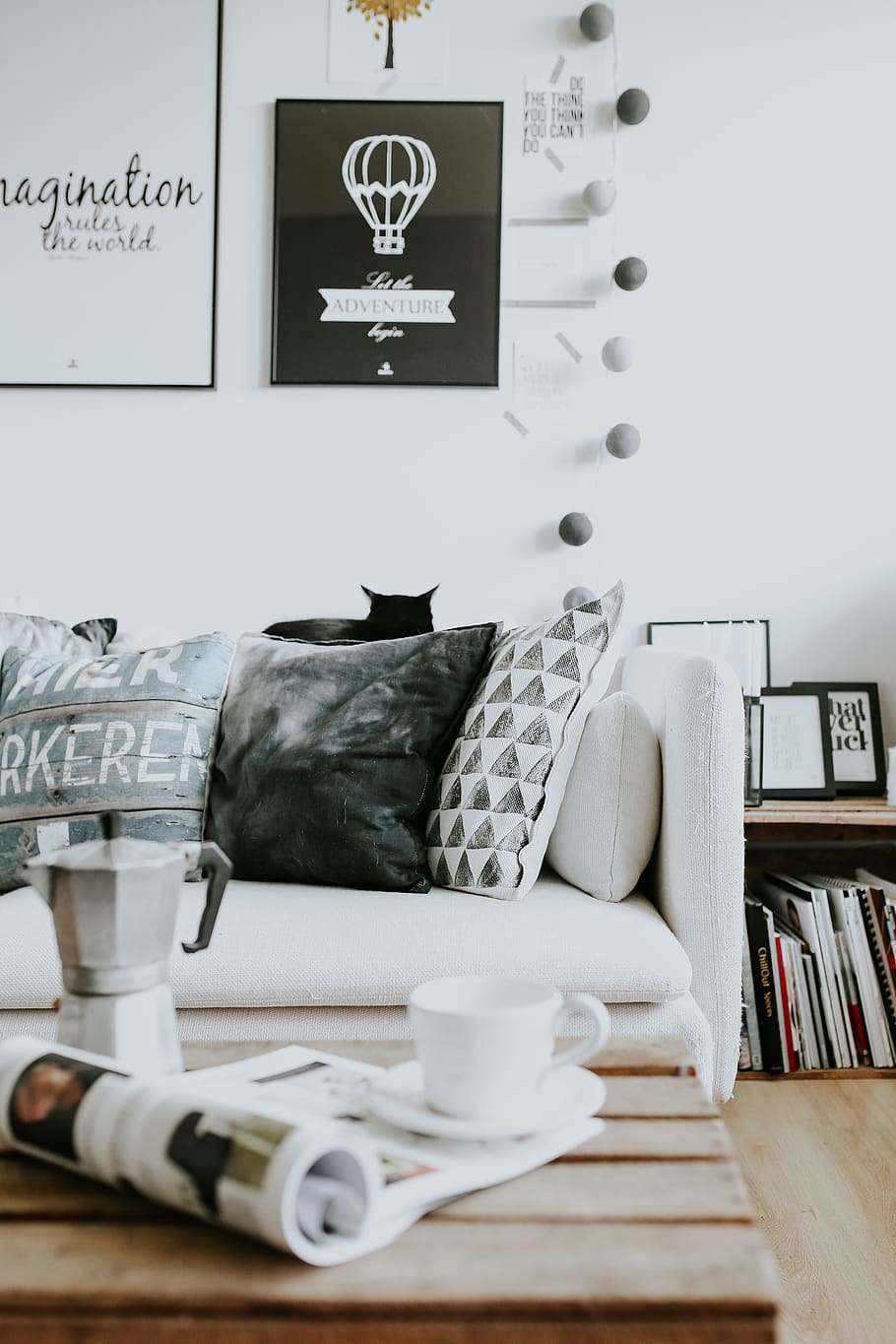 interior, sofa, magazines, modern, table, cat, pillows, home decor, bookcase, stylish