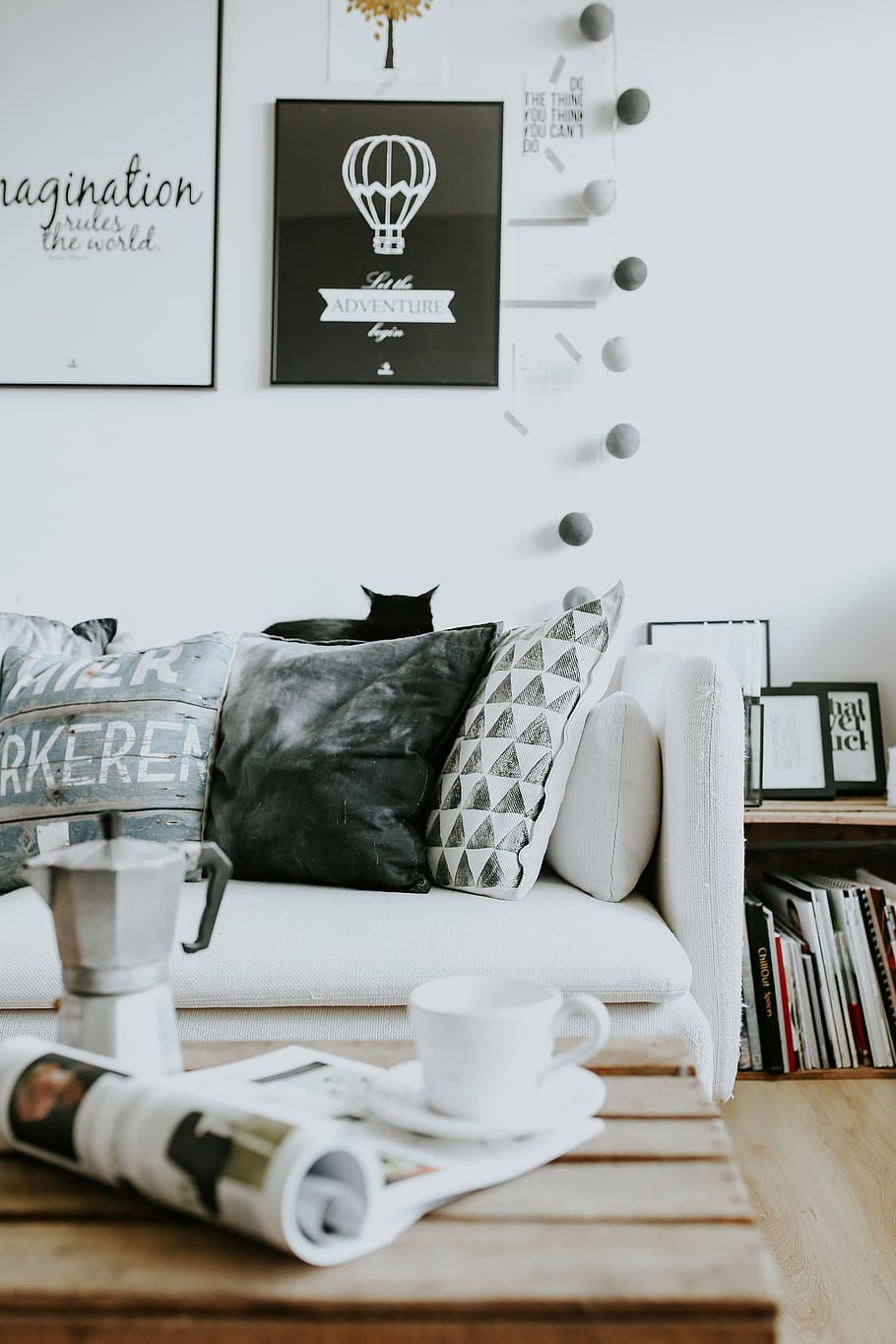 blanco y negro, decoración del hogar, contemporáneo, hogar blanco, interior, sofá, revistas, moderno, mesa, gato