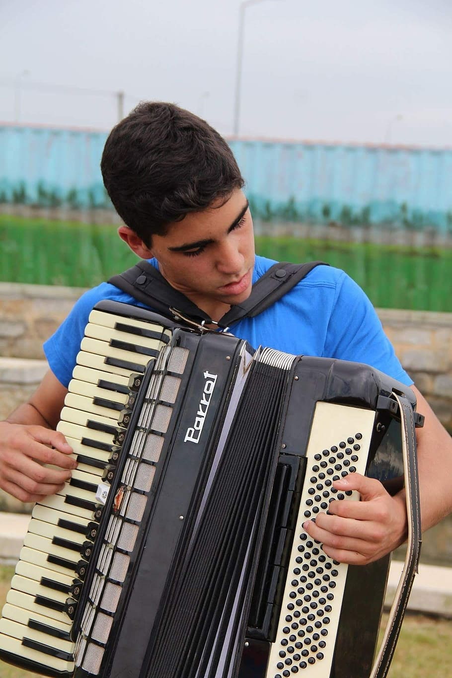 acordeon, accordion, child, boy, instrument, music, musician, real people, musical instrument, one person