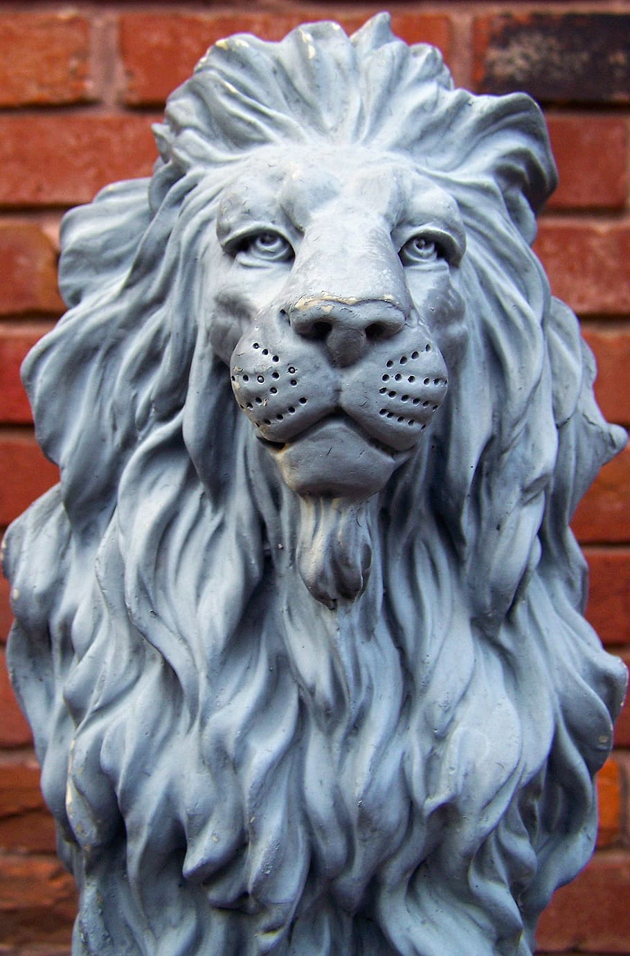 close-up photography, gray, lion statue, lion, statue, figure, stone, animal, feline, blue