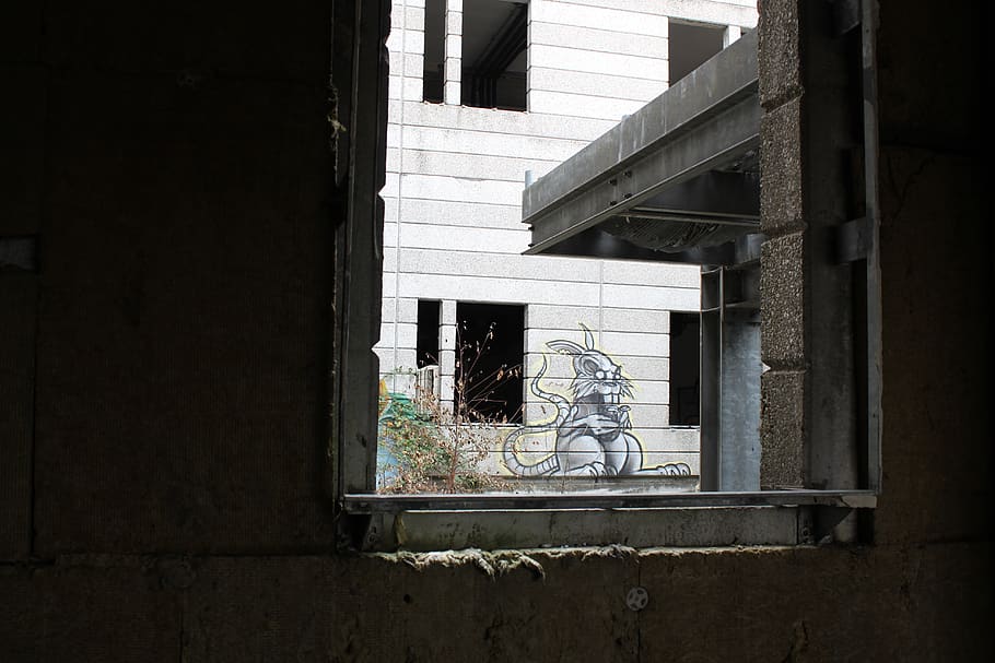 grafite, rato, streetart, artigo, lugar abandonado, abandonado, streetartist, rua, arquitetura, estrutura construída