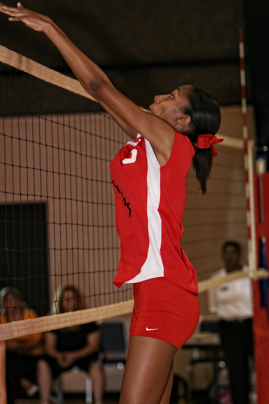 volleyball, action, girls, net, sport, play, competition, player, competitive, jump
