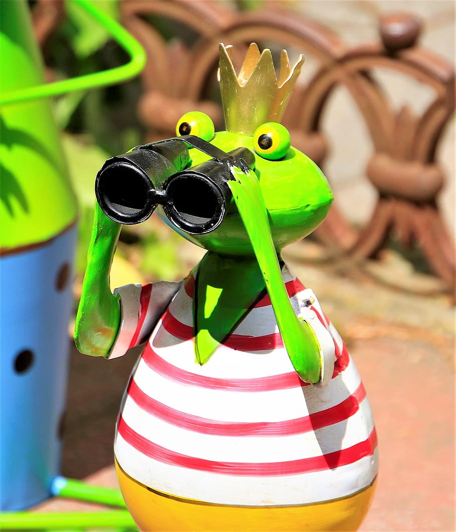 frog, frog prince, crown, green, funny, fairy tale, green frog, telescope, binoculars, look in the distant
